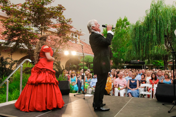 Visit The Vibrant Vine Winery